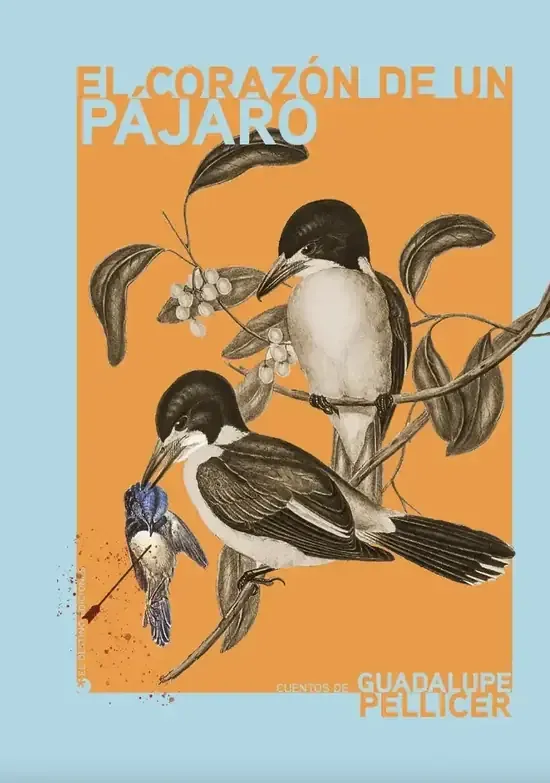 El corazón de un pájaro